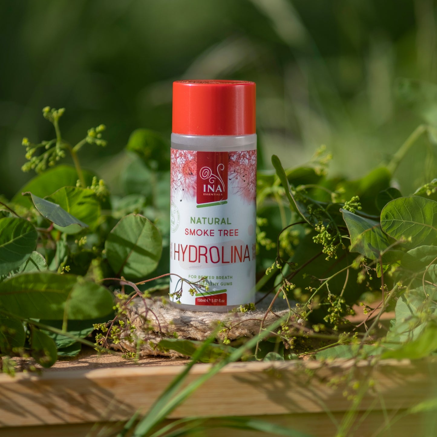 Mouthwash Smoke Tree water - Hydrolina - for Bleeding gums and Bad breath