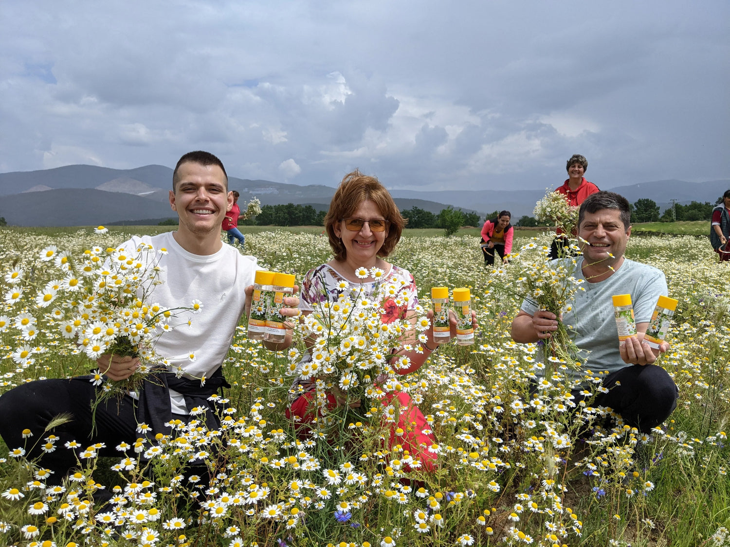 Nature's answer to ECZEMA: Organic Chamomile Hydrolina