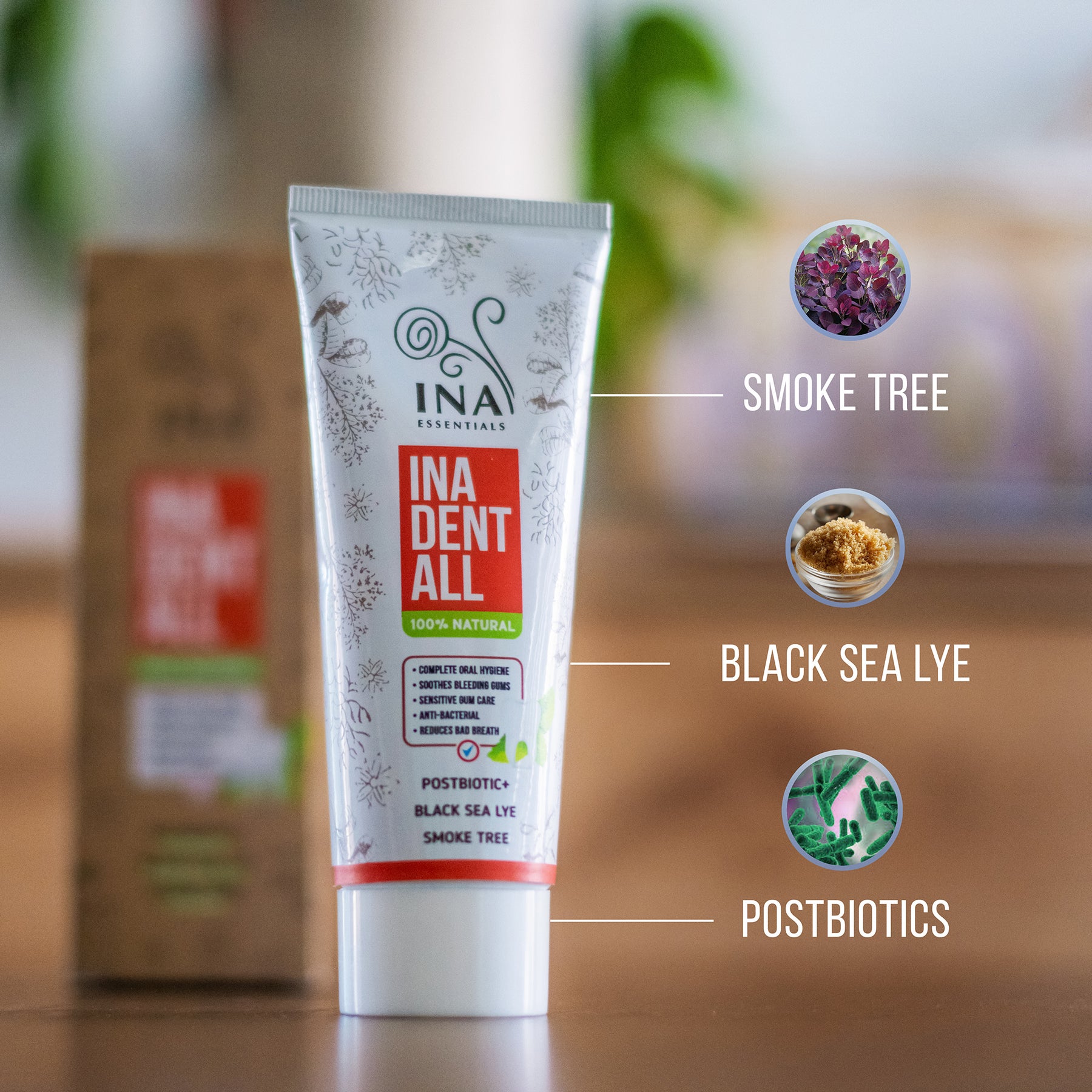 Natural Fluoride-Free Toothpaste with Smoke Tree, Black Sea Lye, and Postbiotic - Ina Dent-All